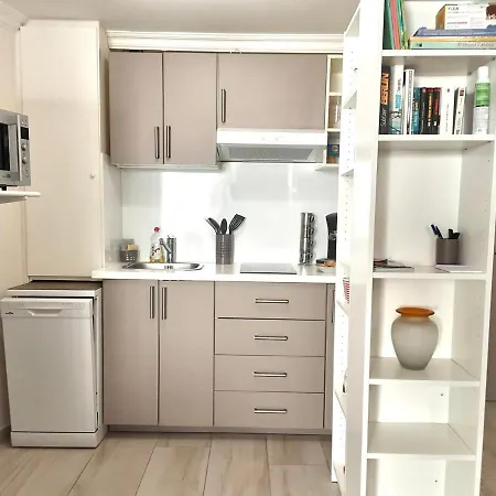 Bel Coeur De Ville, Patio, Clim, Garage