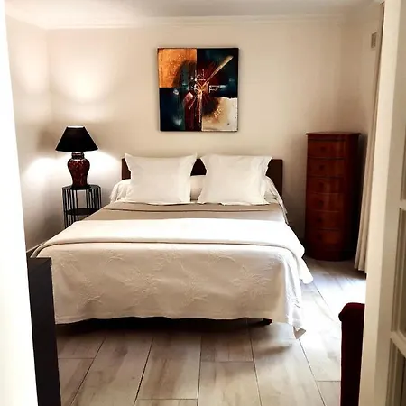 Apartment Bel Coeur De Ville, Patio, Clim, Garage